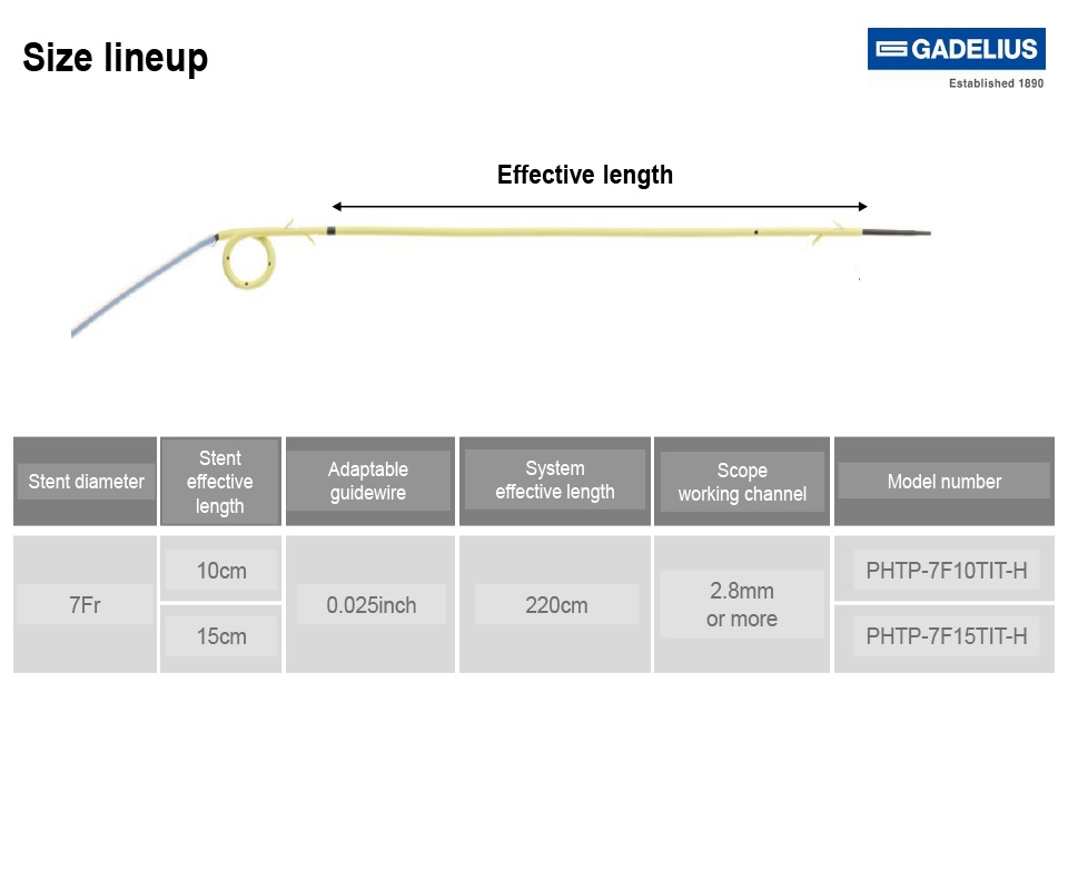 Size Lineup